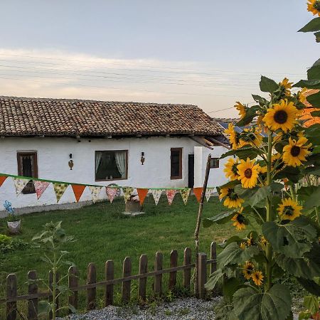 Serendipity Cottage Palamarza Esterno foto