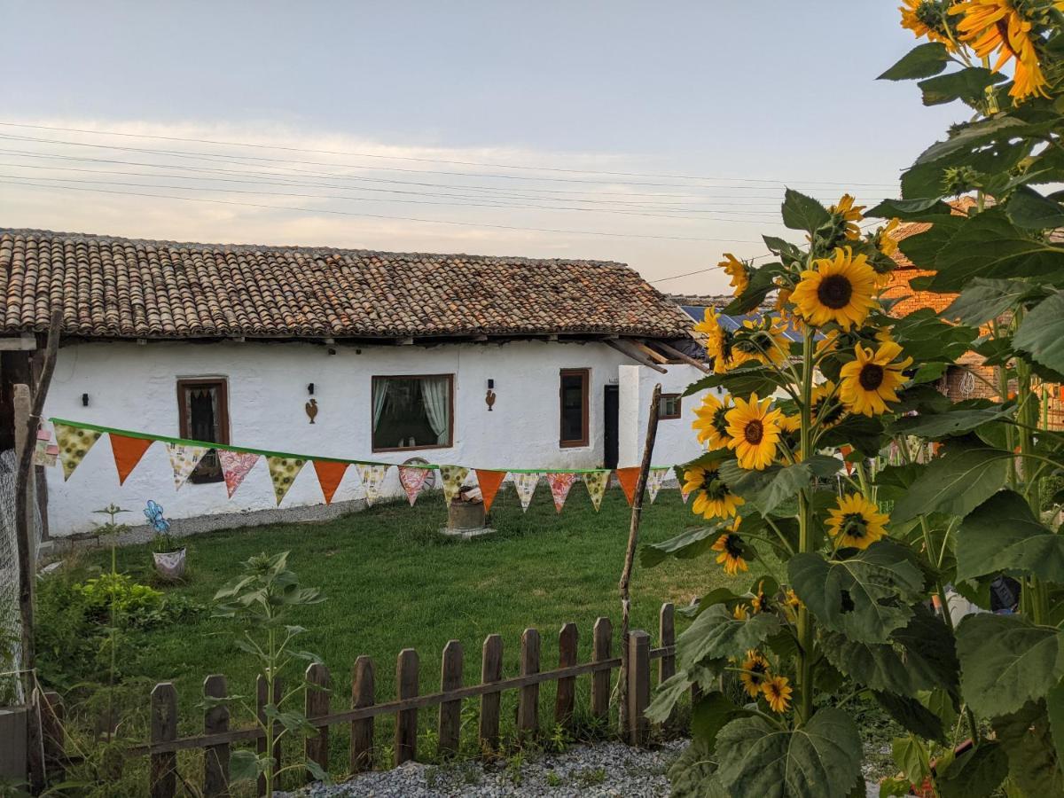 Serendipity Cottage Palamarza Esterno foto